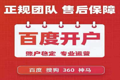 竞价广告端口开户的典型案例剖析